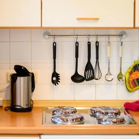 Ginster 格拉尔-米里茨