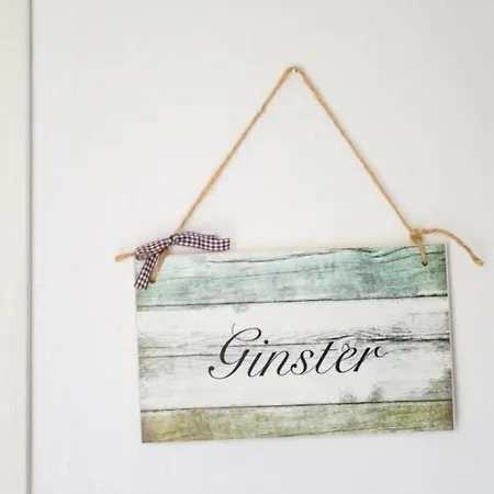 Apartment Ginster